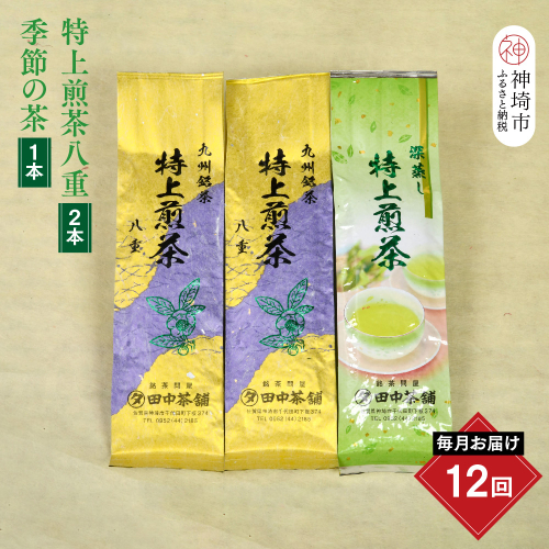 【毎月お届け12回】特上煎茶八重2本と季節のお茶1本(合計100g×3本)【田中茶舗 銘茶問屋 特上煎茶 八重 100g サエミドリ 甘い口当たり うま味 渋み 深み 九州】(H047121) 2388471 - 佐賀県神埼市
