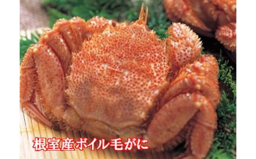 D-01015 【北海道根室産】ボイル毛がに7尾 238857 - 北海道根室市