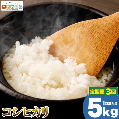 【5月発送】【定期便】令和7年産 5kg 3ヶ月 京都丹波産 コシヒカリ 白米＜JA京都 たわわ朝霧＞ 3回定期便 5kg×3回 計15kg 毎月発送に合わせて精米 2388731 - 京都府亀岡市