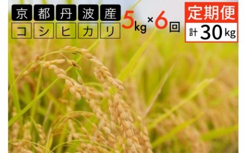 【2月発送】【定期便】令和7年産 5kg 6ヶ月 京都丹波産 コシヒカリ 白米＜JA京都 たわわ朝霧＞ 6回定期便 5kg×6回 計30kg 毎月発送に合わせて精米 米 コメ お米 精米 こしひかり ごはん 2388733 - 京都府亀岡市