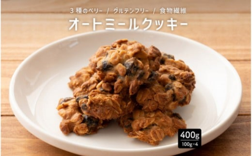 オートミールクッキー 3種のベリー 400g(100g×4袋) 2388844 - 静岡県静岡市