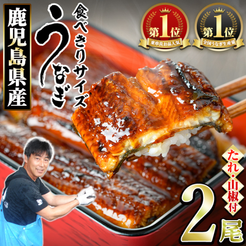 【0074336a】＜食べきりサイズ！＞東串良町のうなぎ蒲焼(無頭)(計2尾・計約200g・タレ、山椒付) うなぎ 蒲焼長焼 ウナギ 鰻 蒲焼き 国産うなぎ 国産 九州産 鹿児島 鹿児島県産 人気 ランキング 高級 家庭用 おすすめ たれ さんしょう 【アクアおおすみ】 2388888 - 鹿児島県東串良町
