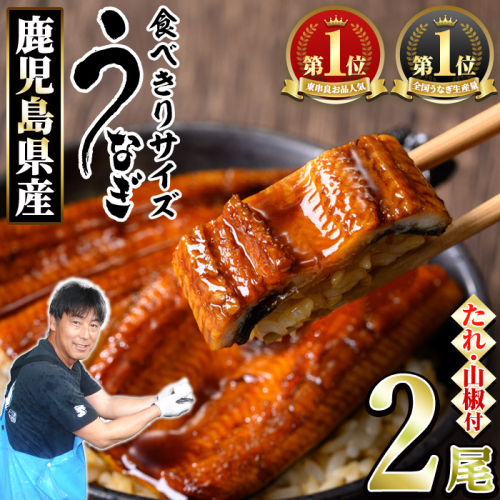 【0074336a】＜食べきりサイズ！＞東串良町のうなぎ蒲焼(無頭)(計2尾・計約200g・タレ、山椒付) うなぎ 蒲焼長焼 ウナギ 鰻 蒲焼き 国産うなぎ 国産 九州産 鹿児島 鹿児島県産 人気 ランキング 高級 家庭用 おすすめ たれ さんしょう 【アクアおおすみ】 2388888 - 鹿児島県東串良町