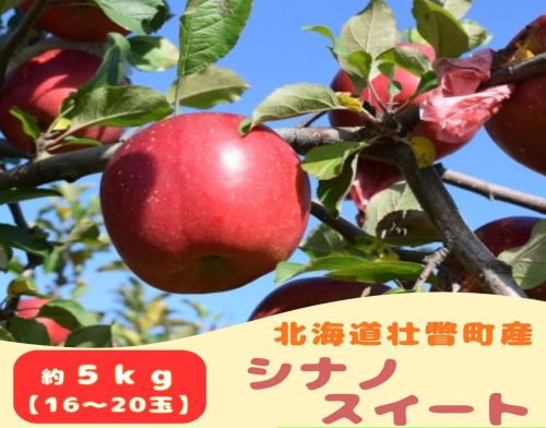 ファームアグリエイトのりんご「シナノスイート」 約5kg（16～20玉）  SBTB013 2388949 - 北海道壮瞥町