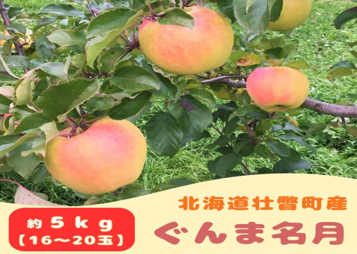 ファームアグリエイトのりんご「ぐんま名月」 約5kg（16～20玉）  SBTB014 2388950 - 北海道壮瞥町