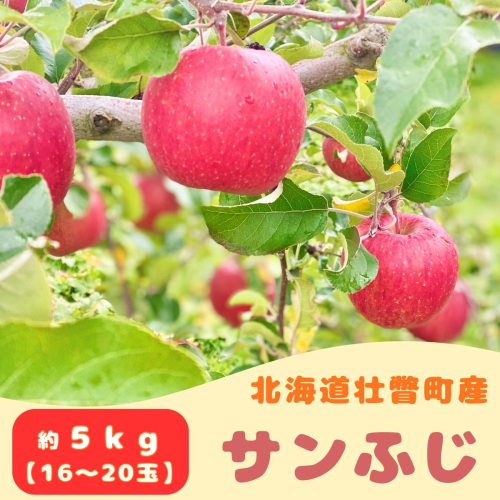 【先行予約】 サンふじ 約5kg <2026年11月中旬頃～発送予定> SBTB015 2388951 - 北海道壮瞥町