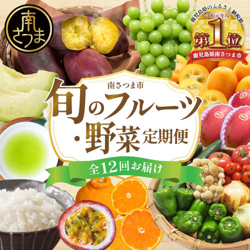 【定期便】南国の恵み 旬のフルーツ・野菜定期便（全12回） 鹿児島県産 果物 フルーツ 柑橘 みかん 野菜 お茶 米 お米 コシヒカリ ぶどう シャインマスカット マンゴー メロン 定期便 2388961 - 鹿児島県南さつま市