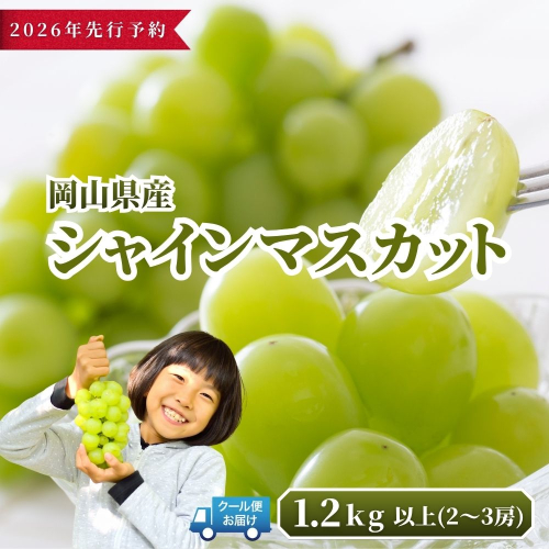 【2026年発送分 先行予約】岡山県産 シャインマスカット 1.2kg以上（2?3房）【ご家庭用】【025-a035】 2388992 - 岡山県鏡野町