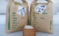 【令和7年産 新米】つや姫 ササニシキ 米銘柄食べくらべ 計10kg （各5kg×2袋） 柴田町産 お米 おこめ 米 コメ 白米 ご飯 ごはん おにぎり お弁当 ささにしき つやひめ 食べ比べ【しばたの未来株式会社】sh140