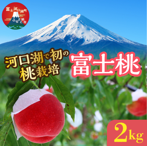 ＜26年発送先行予約＞河口湖で初の桃栽培！オリジナルブランド富士桃(約２キロ) FAH010 2389131 - 山梨県富士河口湖町