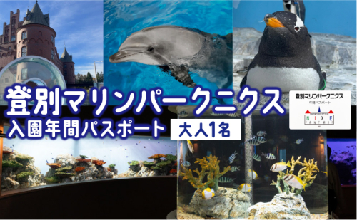 登別マリンパークニクス 入場券年間パスポート 大人 1名 【 チケット 北海道 観光 旅行 体験 パーク 入場券 入園券 割引 北海道 水族館 動物園 イルカ アシカ ペンギン パレード】mr-0896 2389146 - 北海道登別市