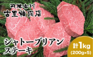 【年内発送】飛騨牛5等級のヒレ肉・シャトーブリアンステーキ 200g × 5枚 合計1kg 肉 ステーキ 飛騨牛 和牛 牛肉 人気 リピーター 岐阜県 飛騨市 和牛 ヒレ ステーキ
