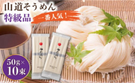 【1月以降順次発送】島原手延そうめん 山道そうめん 特級品 50g×5束×2袋 / そうめん 島原そうめん 手延べ 麺 素麺 年内配送 年内発送 / 南島原市 / そうめんの山道 [SDC004]