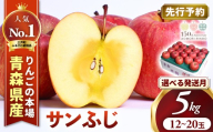【2026年産・先行予約】★2026年11月下旬～12月上旬頃発送予定★ りんご【サンふじ】約5kg（12～20玉） 青森県三戸町産 りんご サンふじ 2026年産 先行予約 サンふじりんご 旬 甘い 青森県三戸町 AK-16-010