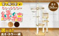 キャットタワー　縁結（高さ245cm） _ 縁結 突っ張り型 マクラメ ハンモック 透明 クリアボウル 猫 額縁ハウス インテリア 重厚感 高級感 運動不足解消 ストレス解消 安心 安全 耐久性 組立式 受注生産 日本製 国産 おしゃれ ペット用品 お取り寄せ 福岡県 久留米市 送料無料 _Qx093-02