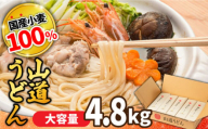 【年内配送】島原 手延べうどん 山道うどん 国産小麦100％ 160g×30袋 4.8kg / 島原手延べ うどん ウドン 饂飩 乾麺 麺 年内配送 年内発送 / 南島原市/ そうめんの山道 [SDC011]
