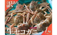 【年明け順次発送】【数量限定】＜訳あり＞冷蔵便　生セコガニ　約1kg（5～9尾入）1079005