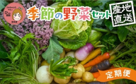 彩り野菜セット 7種 3回お届け 定期便 豊橋 国産 ミネラルたっぷり 海風そだち 潮風 家族で 大容量 豊橋 ともちゃんのやさい 直売所で大人気! 愛知県 豊橋市 安心野菜 ブロッコリー キャベツ