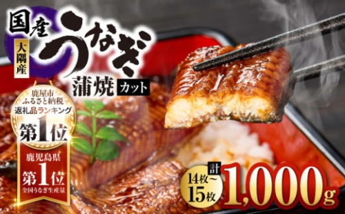 2724 【チョイス限定】鹿児島県大隅産『カット』うなぎ蒲焼1000g　KN007-001-04 2390039 - 鹿児島県鹿屋市