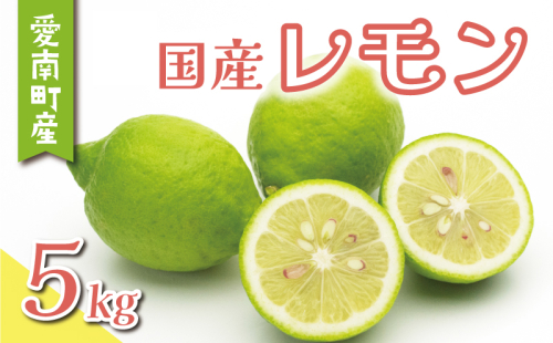 数量限定 レモン 5kg 8000円 柑橘 サイズ 不揃い 家庭用 檸檬 国産 フルーツ 果物 果実 産地直送 農家直送 期間限定 特産品 瀬戸内 ワックス 防腐剤 不使用 有機栽培 果汁 人気 新鮮 レモネード 塩レモン レモン酢 レモンソース はちみつレモン レモンケーキ レモンスカッシュ レモンサワー レモン酎ハイ 等に ビタミン くらもとファーム 愛南町 愛媛県 2390346 - 愛媛県愛南町