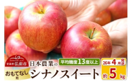 [26年4月発送]りんご 平均糖度13度以上! シナノスイート 約5kg おもてなし用 CA貯蔵 クール便 青森 果物 フルーツ 林檎 リンゴ くだもの