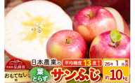 【26年1月発送】りんご 平均糖度13度以上！ 葉とらずサンふじ 約10kg おもてなし用 青森 果物 フルーツ 林檎 リンゴ くだもの