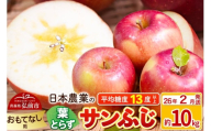 【26年2月発送】りんご 平均糖度13度以上！ 葉とらずサンふじ 約10kg おもてなし用 青森 果物 フルーツ 林檎 リンゴ くだもの