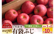 【26年5月発送】りんご 平均糖度13度以上！ 有袋ふじ 約10kg おもてなし用 CA貯蔵 クール便 青森 果物 フルーツ 林檎 リンゴ くだもの