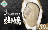【3月前半発送】牡蠣 生食用 【 期間限定 】殻付き 牡蠣30個「3年育成」【 牡蠣 かき カキ 殻付き  生食 大粒  国産 真牡蠣 三陸産 広田湾  】 RT394
