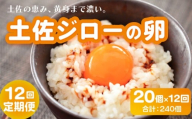 【12回定期便】土佐ジローの卵 20個入り (10個×2パック)【たまご 卵 タマゴ 鶏卵 たまごかけごはん TKG オムレツ ケーキ 卵かけご飯 たまご焼き おいしい おすすめ  高知県 南国市】