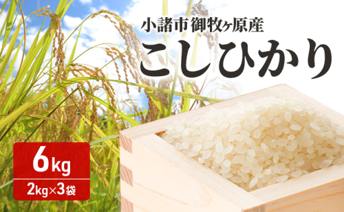 小諸市 御牧ヶ原産こしひかり 　6kg（2kg×3袋）長野 信州 コシヒカリ 精米 美味しいお米 お取り寄せ おこめ 白米 2391030 - 長野県小諸市