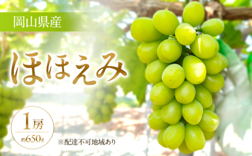 【限定200個】【2026年先行予約】 ぶどう 岡山県産 超希少品種 ほほえみ 1房(約650g) 《2026年8月下旬-9月中旬頃出荷》 葡萄 ブドウ フルーツ 果物 スイーツ 数量限定 期間限定 岡山 里庄町 2391036 - 岡山県里庄町