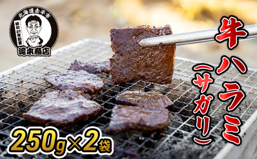 たきもとの牛ハラミ（サガリ）250g×2袋　焼肉 バーベキュー BBQ 牛 牛肉 ハラミ サガリ 冷凍 アウトドア タレ 味付け 北海道 ふるさと納税 2391152 - 北海道赤平市