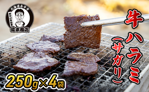 たきもとの牛ハラミ（サガリ）250g×4袋　焼肉 バーベキュー BBQ 牛 牛肉  ハラミ サガリ 冷凍 アウトドア タレ 味付け 北海道 ふるさと納税 2391153 - 北海道赤平市