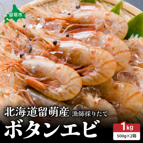 【漁師採りたて　留萌産】ボタンエビ　500ｇ×2　R006-019 2391297 - 北海道留萌市