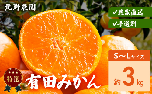 DZ6233_特選 有田みかん 和歌山 S～Lサイズ 大きさお任せ 約3kg 2391321 - 和歌山県湯浅町