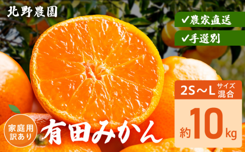 DZ6235_家庭用 訳あり 有田みかん 和歌山 2S～Lサイズ混合 約10kg 2391394 - 和歌山県湯浅町