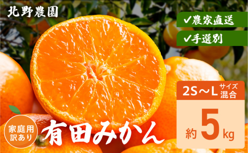 DZ6236_家庭用 訳あり 有田みかん 和歌山 2S～Lサイズ混合 約5kg 2391395 - 和歌山県湯浅町