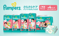 [パンツ]さらさらケア 4パック(ビッグ)&おしりふき2パック [Pampers パンパース紙おむつ 赤ちゃん ベビー 赤ちゃん用品 ベビー用品 消耗品 日用品 乳児 幼児 子供 オムツ 孫]