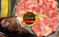 【定期便 全3回】宮崎県西ノ原牧場・なかにし和牛バラエティ定期便（牛肉 黒毛和牛 焼肉 小間切れ ハンバーグ 定期便）