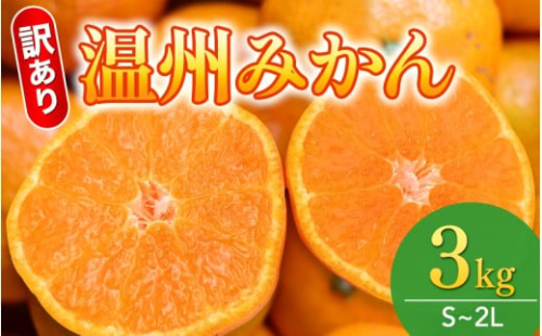  【和歌山県産】訳あり 温州みかん 3kg(早生・中生・晩稲)【S～2Lサイズおまかせ】【2025年10月中旬～2026年1月中旬頃までに順次発送】＜味好農園＞/「おてんば娘」みかん 蜜柑 柑橘 温州みかん 訳あり 果物 フルーツ 【agy016-kts】 2392022 - 和歌山県かつらぎ町