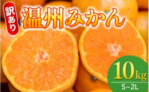  【先行予約】訳あり品 温州みかん 「おてんば娘」10kg(早生・中生・晩稲)【S～2Lサイズおまかせ】【2025年10月中旬～2026年1月中旬頃までに順次発送】＜味好農園＞/みかん 蜜柑 柑橘 温州みかん 訳あり 果物 フルーツ 【agy007】 2392024 - 和歌山県かつらぎ町
