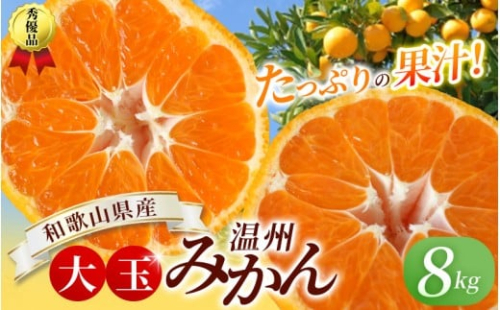 ボリューム満点！大玉 温州みかん 8kg 秀優品【2L～3Lサイズ】【2025年12月から2026年２月下旬頃に順次発送】＜味好農園＞/ 温州 蜜柑 みかん 柑橘 果物 フルーツ ミカン 【agy011A】 2392028 - 和歌山県かつらぎ町