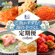 【定期便6回】佐藤水産 ご飯がすすむ！海の幸づくし定期便（鮭・いくら・筋子） | イクラ サケ ルイベ サケフレーク 海鮮 魚介 おかず ご飯 北海道 札幌市