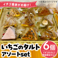 No.1316 いちごのタルトアソートセット(6種) 国産 スイーツ ケーキ タルト デザート いちご 菓子 お菓子 冷凍 ご褒美 プチ贅沢 ギフト 贈答品 ホワイトデー[tubu-ichigo]