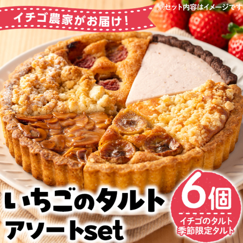 No.1316 いちごのタルトアソートセット(6種) 国産 スイーツ ケーキ タルト デザート いちご 菓子 お菓子 冷凍 ご褒美 プチ贅沢 ギフト 贈答品 ホワイトデー【tubu-ichigo】 2392037 - 鹿児島県日置市