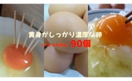 U-3 黄身がしっかり濃厚な卵【アスタの恵み】90個