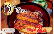 炭火焼 国産 うなぎ 骨抜き鰻蒲焼2尾(真空パック) 丑の日 炭火 鰻 ウナギ ギフト 真空パック タレ 山椒 冷凍 贈り物 プレゼント ギフト お祝い お取り寄せ 真空パック 我孫子市 千葉県