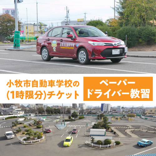 小牧市自動車学校のペーパードライバー教習(1時限分)チケット［186A02］ 2392995 - 愛知県小牧市