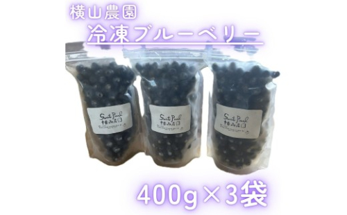 横山農園の冷凍ブルーベリー400g×3袋